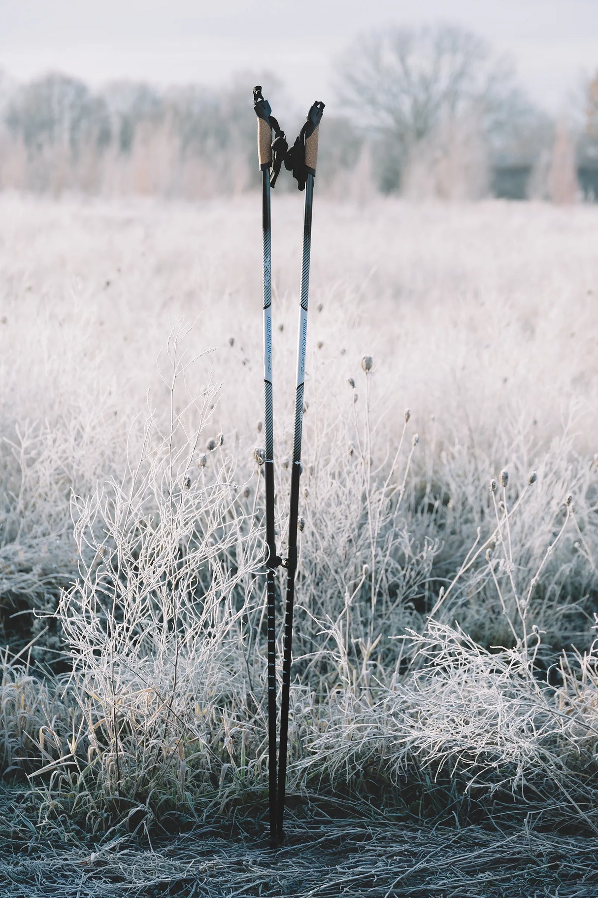 SKA908089 POWERSLIDE Nordic Carbon Poles adj. 130-170cm Karbonstöcke | Karbonstöcke | SUV | Offroad Inline Skating | Trinity X | Offroad Inlineskates Trinity X Offroad Inline Skating Off-road inline skates offroad inliner SUV skates SUV Rollerblades SUV Inlnineskates SUV Air Wheels Air Rims Air Tire Off-Road Skating SUV Skating Off road inline skating off road blading Urban Inlineskate Fitness Inlineskates Inlineskates Sport Inline Skates Rollerblades Urban Inline Skating Urban Inline Skating Freeskates Tra