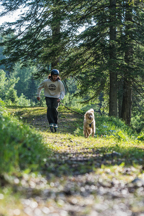 SKA908422 POWERSLIDE Next Renegade Werbeski Pro 125 SUV Trinity X Fitness Inlineskate Fitness Inlineskates Inlineskates Sport Inline Skates Rollerblades Urban Inline Skating Urban Inline Skating Freeskates Trainng Skates Strecken Skates Trinity Skates Einsteiger Beginner Inlineskates Inliner Fitness Inliner City Skates Fitness Inliner Sport Skates Sport Inliner Rollerblades Rollerblading Lörrach Freiburg Basel Inliner Skateschule und Skateshop Weil am Rhein SkaMiDan Deutschland Germany