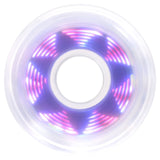 SKALUWL-LU8085-PXL-CL-TO/TornadoBlue Luminous LED Wheels Pixel 80mm 85A – verschiedene Farben | Luminous LED Rollen für Inlineskates | Leuchtrollen | Fitness & Urban Inline Rollen Inline Skating Rollerblading Inlineskaterollen Skating Wheels for Rollerblader  Rollen für Inlineskater Lörrach Freiburg Basel Inliner Richtige Größe right Size for Rollerblades Langhaltende Inlineskaterollen Longlasting Wheels for Rollerblading Skateschule und Skateshop Weil am Rhein SkaMiDan Deutschland Germany
